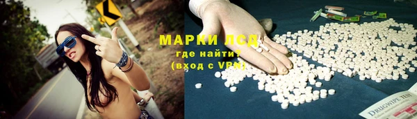 индика Алексин
