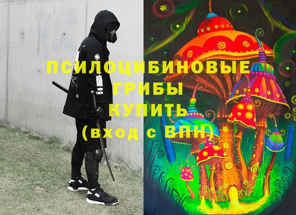 индика Алексин