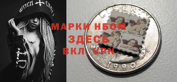 индика Алексин
