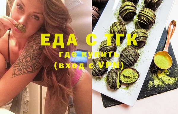 индика Алексин