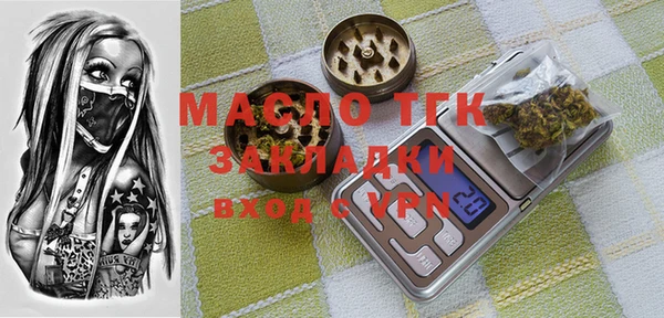индика Алексин